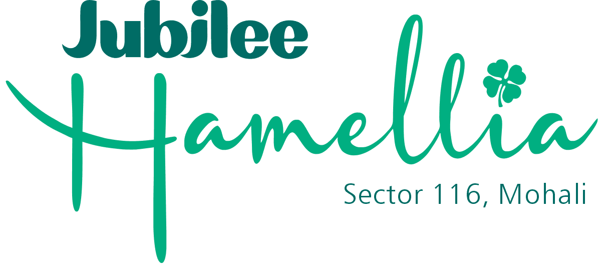 project logo